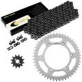 Caltric Chain & Sprocket Kit CH1001AA2094, image 1 of 4