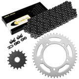 Caltric Chain & Sprocket Kit CH141AA2024, image 1 of 4
