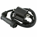 Caltric Ignition Coil