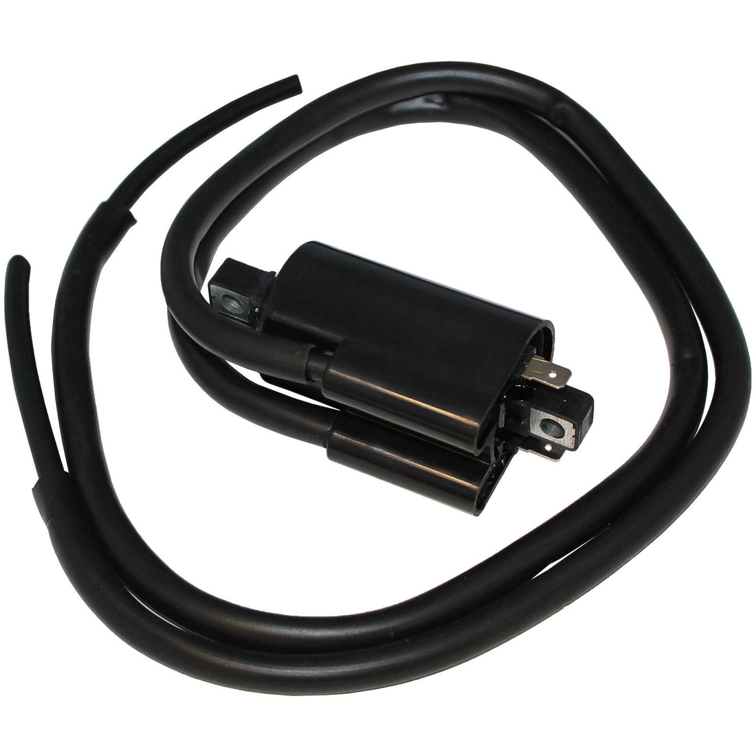 Caltric Ignition Coil