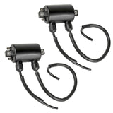 Caltric Ignition Coil, image 3 of 4
