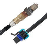 Caltric Sensor, image 4 of 4