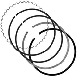 Caltric Piston Kit PR210, image 4 of 4