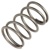 Caltric Clutch Spring CS531, image 1 of 4