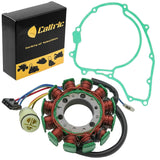 Caltric Stator, image 1 of 4