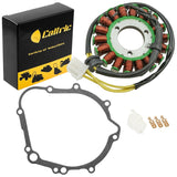 Caltric Stator, image 1 of 4