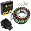 Caltric Stator, image 1 of 4