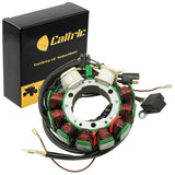 Caltric Stator ST110, image 1 of 4