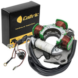 Caltric Stator ST196, image 1 of 4