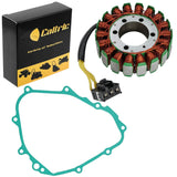 Caltric Stator, image 1 of 4