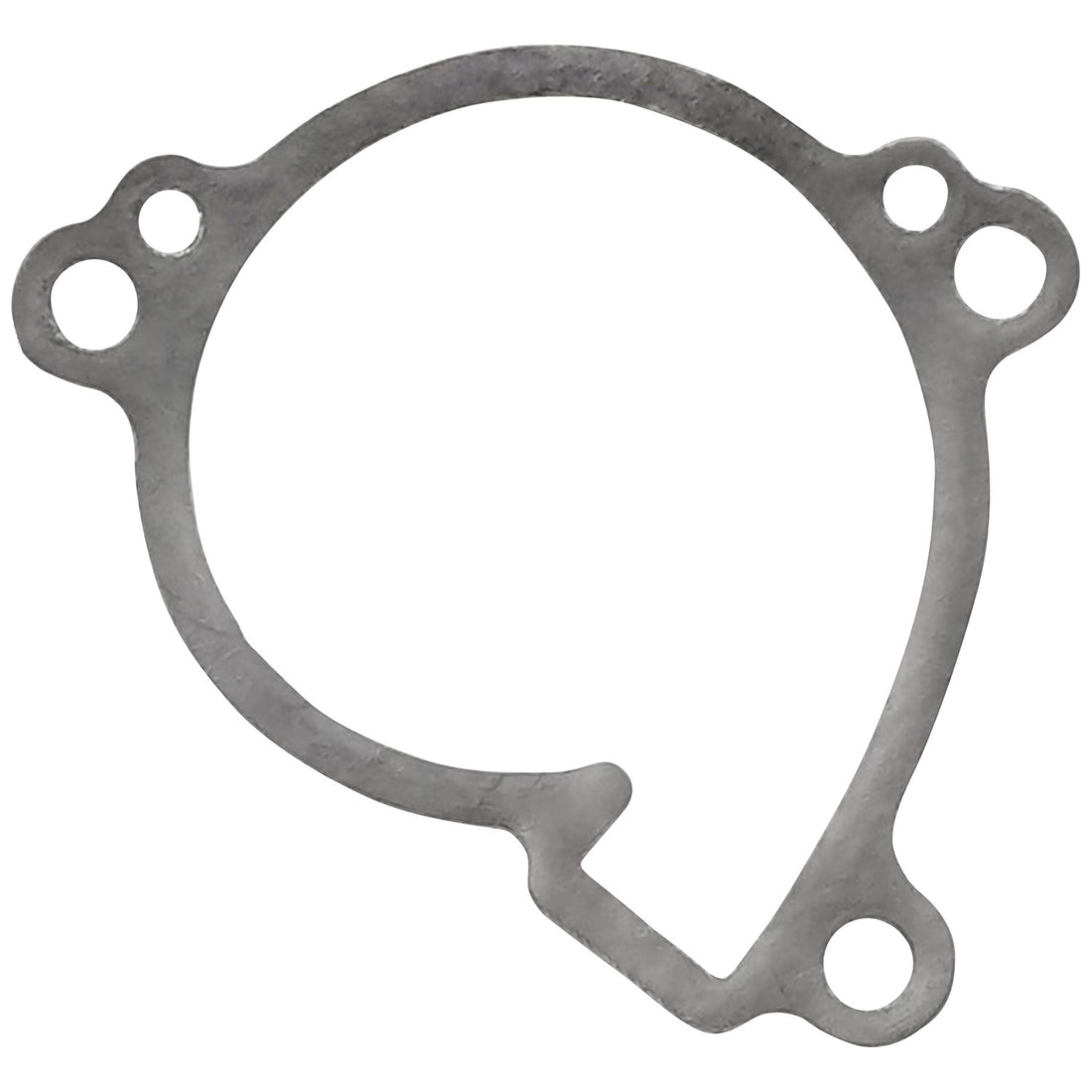 Caltric Gasket, image 1 of 4