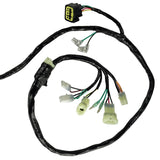 Caltric Wiring Harness HA125, image 3 of 4