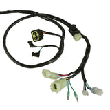 Caltric Wiring Harness HA126, image 2 of 4