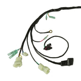 Caltric Wiring Harness HA126, image 3 of 4