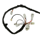 Caltric Wiring Harness HA136, image 2 of 4