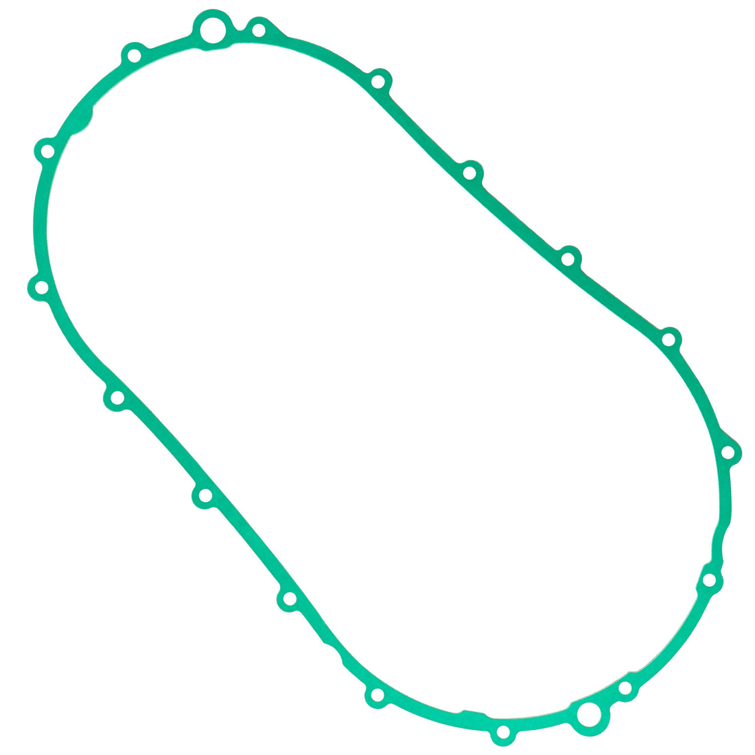 Celox Gasket TS1055GT213MG, image 1 of 4