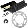 Celox Chain & Sprocket Kit EG3995CH101XO, image 1 of 4