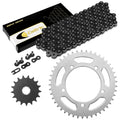 Celox Chain & Sprocket Kit EG4379CH141XO, image 1 of 4