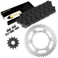 Celox Chain & Sprocket Kit EG3910CH101XO, image 1 of 4
