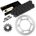 Celox Chain & Sprocket Kit EG3929CH101XO, image 1 of 4