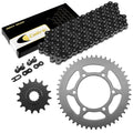 Celox Chain & Sprocket Kit EG3942CH101XO, image 1 of 4