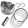 Celox Piston Kit, image 1 of 4