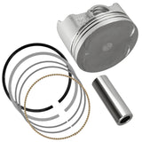 Celox Piston Kit, image 3 of 4