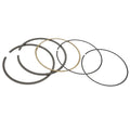 Celox Piston Kit