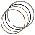 Celox Piston Kit PR207, image 1 of 4