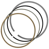 Celox Piston Kit PR207, image 1 of 4
