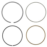 Celox Piston Kit PR207, image 2 of 4