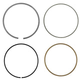 Celox Piston Kit, image 2 of 4