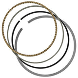 Celox Piston Kit, image 3 of 4