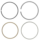 Celox Piston Kit, image 4 of 4