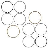 Celox Piston Kit, image 2 of 4