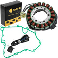 Celox Stator, image 1 of 4