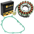Celox Stator, image 1 of 4