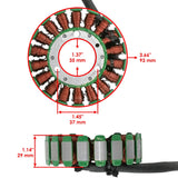 Celox Stator, image 2 of 4