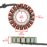Celox Stator, image 2 of 4