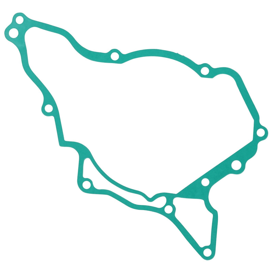 Celox Gasket TS1250GT258MG, image 1 of 4