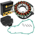 Celox Stator, image 1 of 4