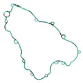 Gasket 816070 - 20