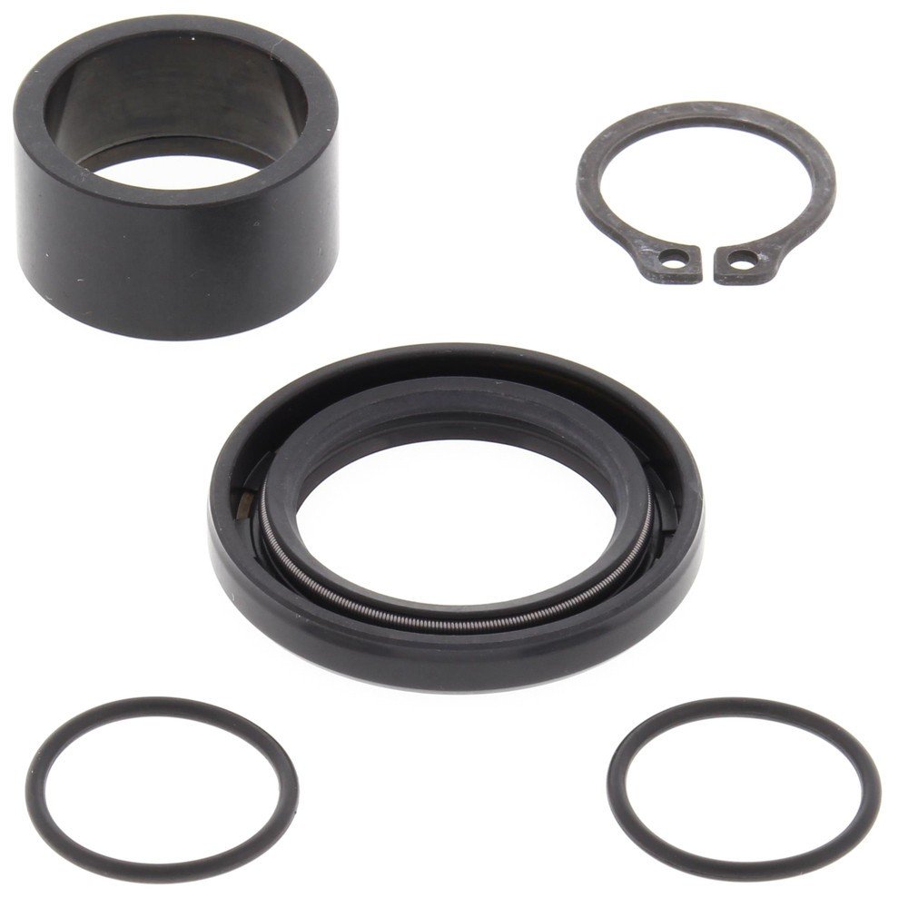 Oil Seal CMS25-4017