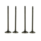 Piston Kit, image 4 of 4