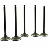 Piston Kit, image 3 of 4