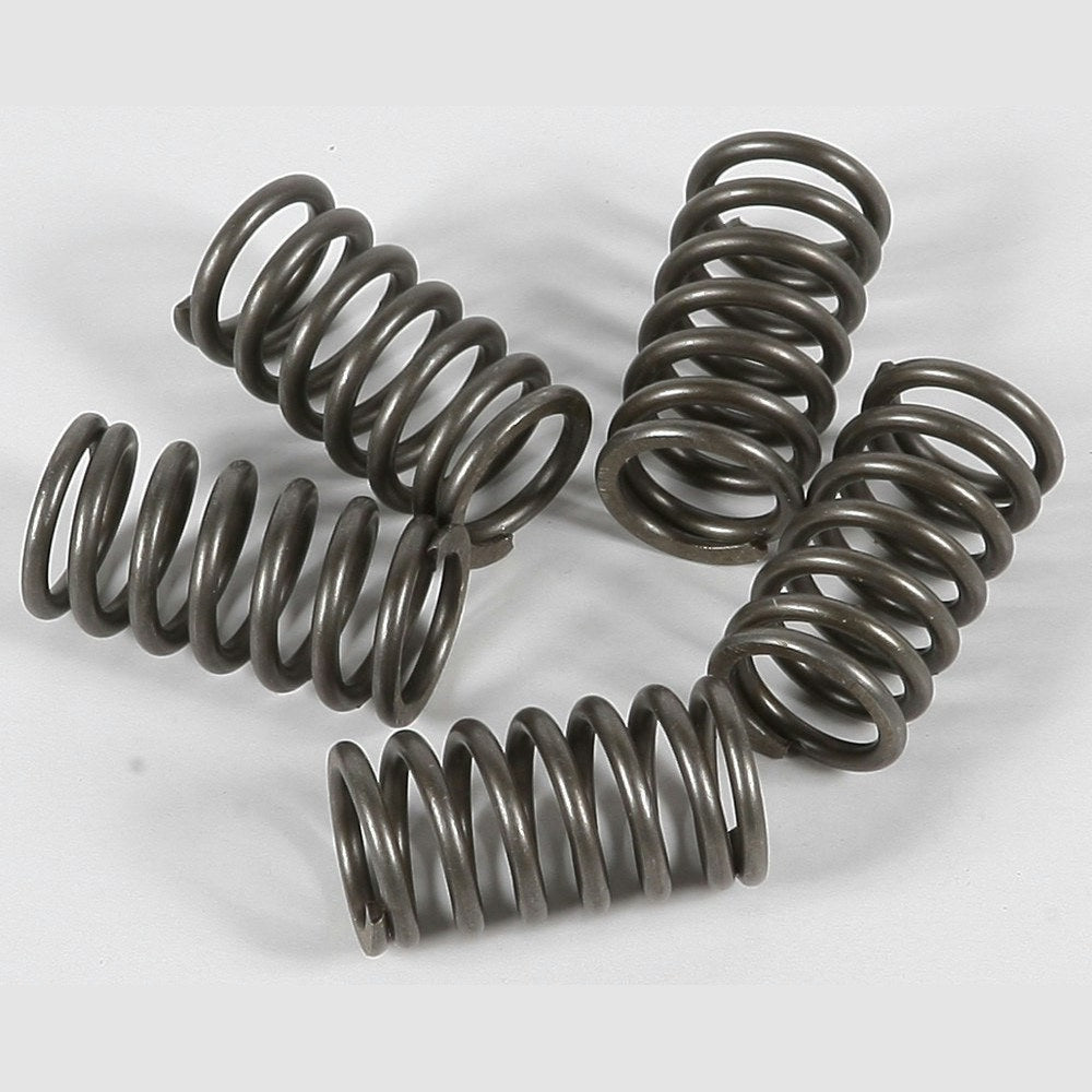EBC Clutch Spring CSK118