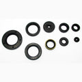 Oil Seal
