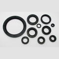 Oil Seal CX500