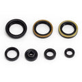 Oil Seal
