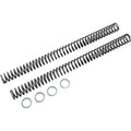Fork Spring FRSP 395150
